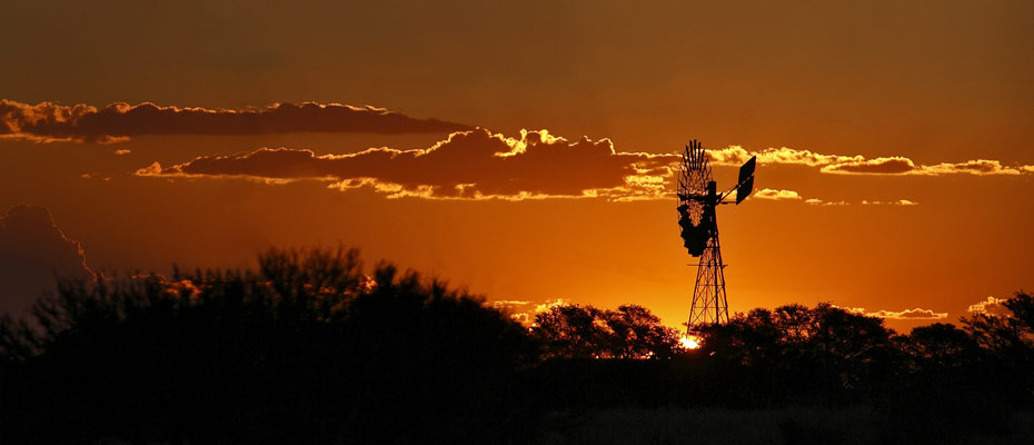 OSHANA Wildlife & Nature Photography