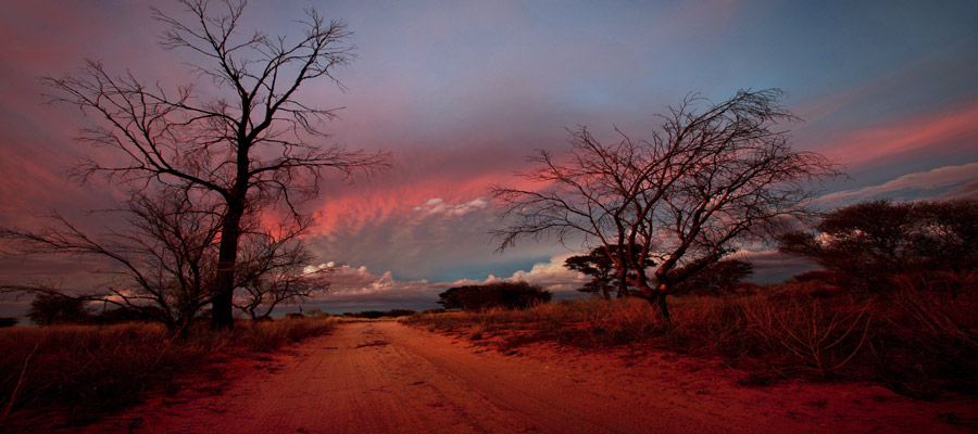 OSHANA Wildlife & Nature Photography