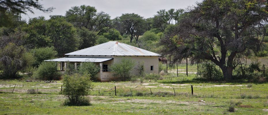 OSHANA Wildlife & Nature Photography