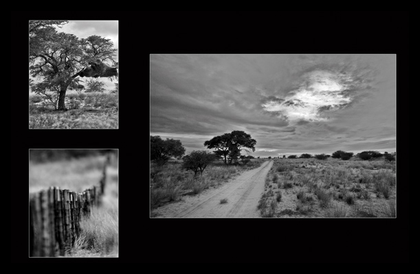 OSHANA Wildlife & Nature Photography