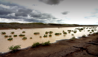 Oshana wildlife photography Auob river in flood