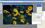 Adobe Photoshop screenshot