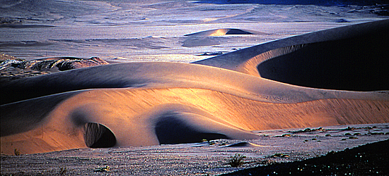 Dune system