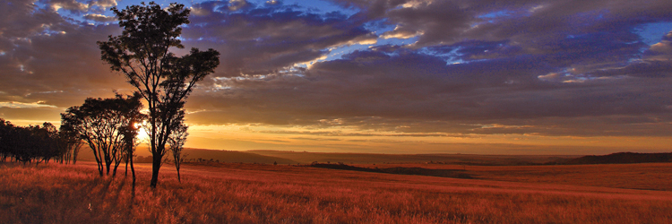Namaqualand Diamond Coast
