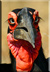 Ground hornbill